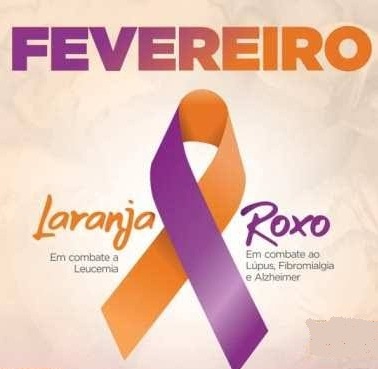 fevereiro_roxo_e_laranja